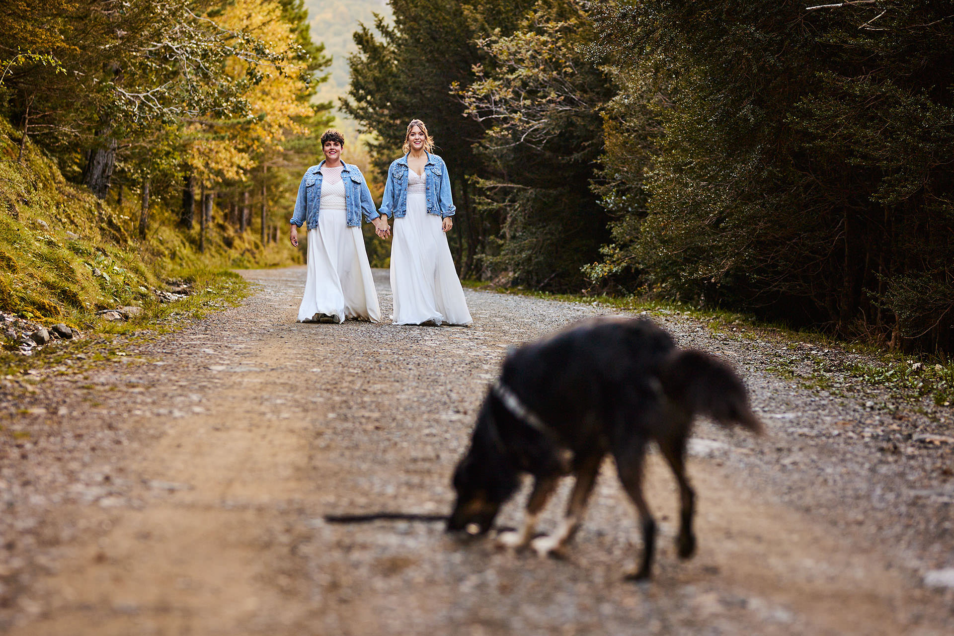 postboda con animales en Zaragoza